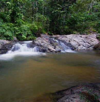 Guardian Spirits of the Kelantan Rainforests an Intriguing Exploration of Nature's Divine Forces!